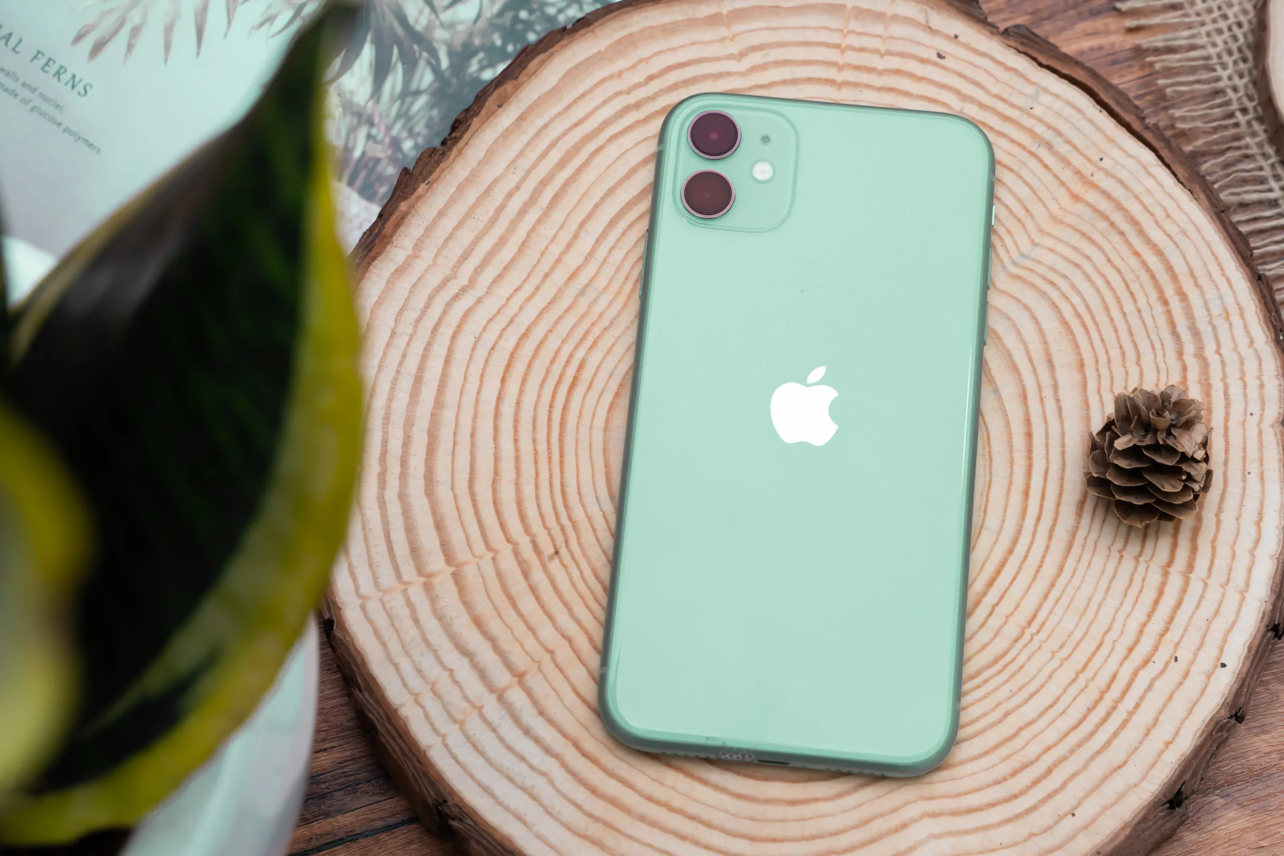 Nhiều dòng iPhone giảm mạnh, kích cầu mua sắm sau Tết Nguyên Đán
