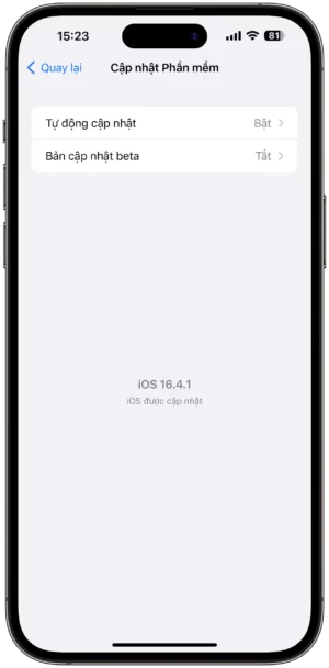 Hướng dẫn cách kích hoạt cập nhật iOS beta từ cài đặt trên iOS 16.4 về sau