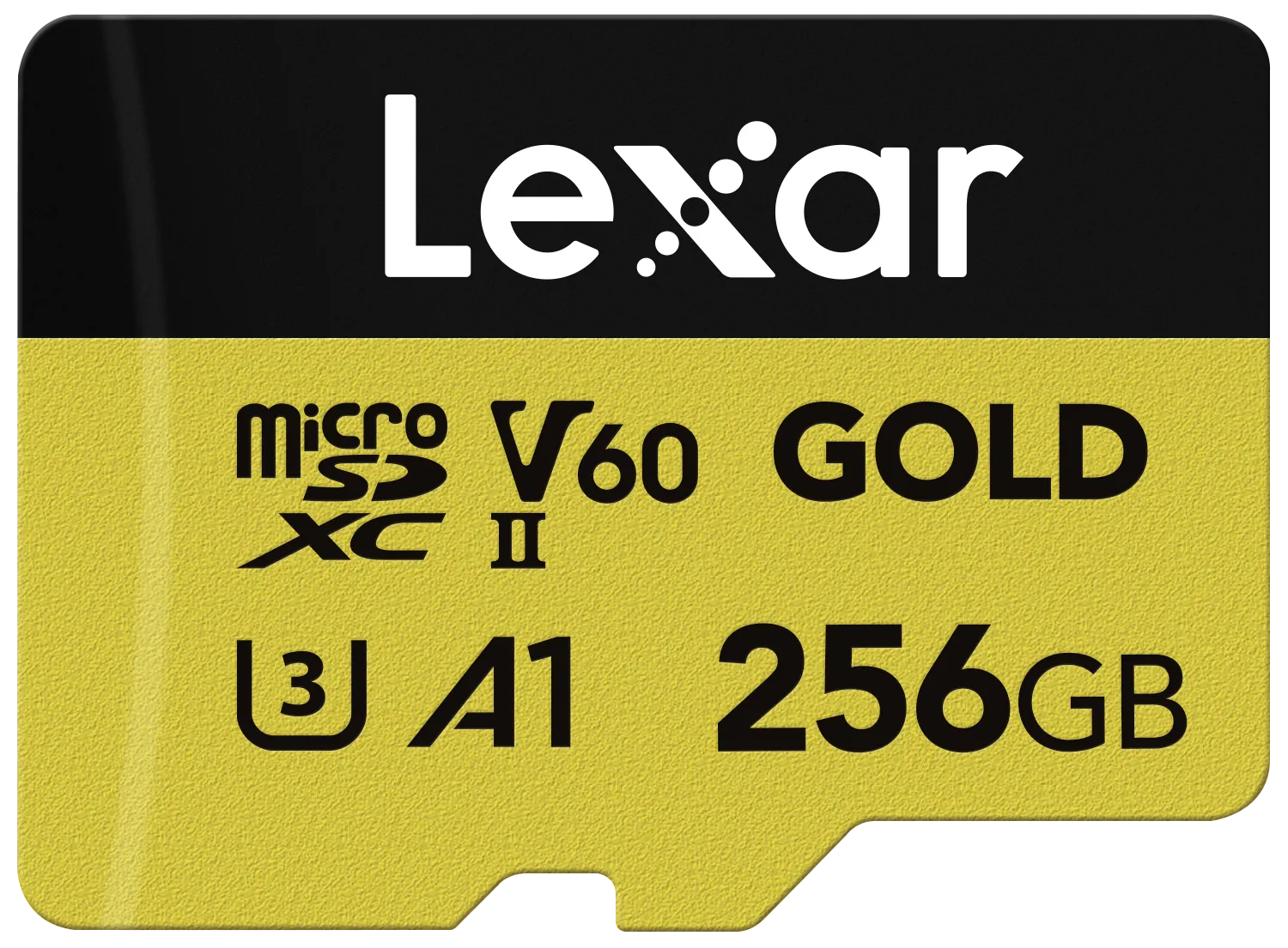Lexar hé lộ thẻ nhớ microSD và dãy sản phẩm chơi game mới tại IFA 2023