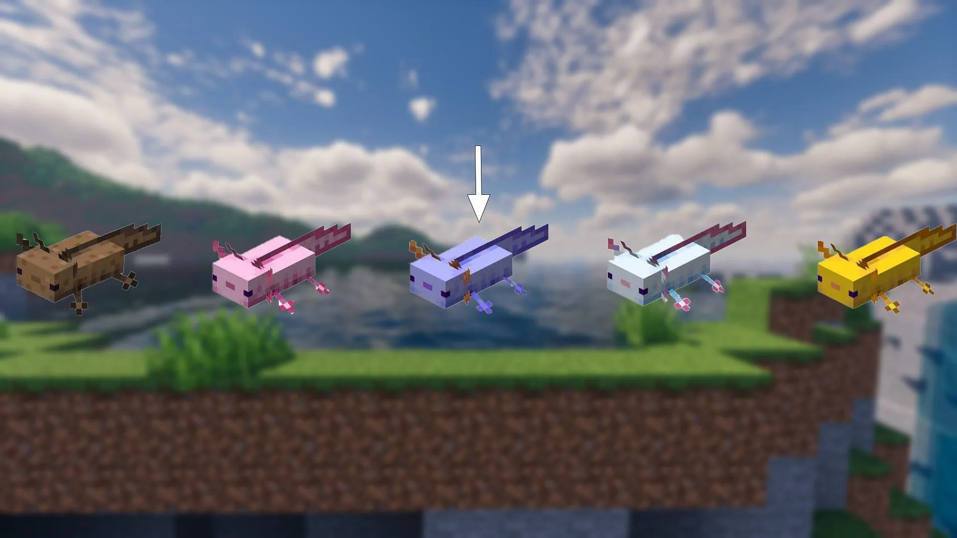 Cách tìm cá axolotl màu xanh quý hiếm nhất trong Minecraft