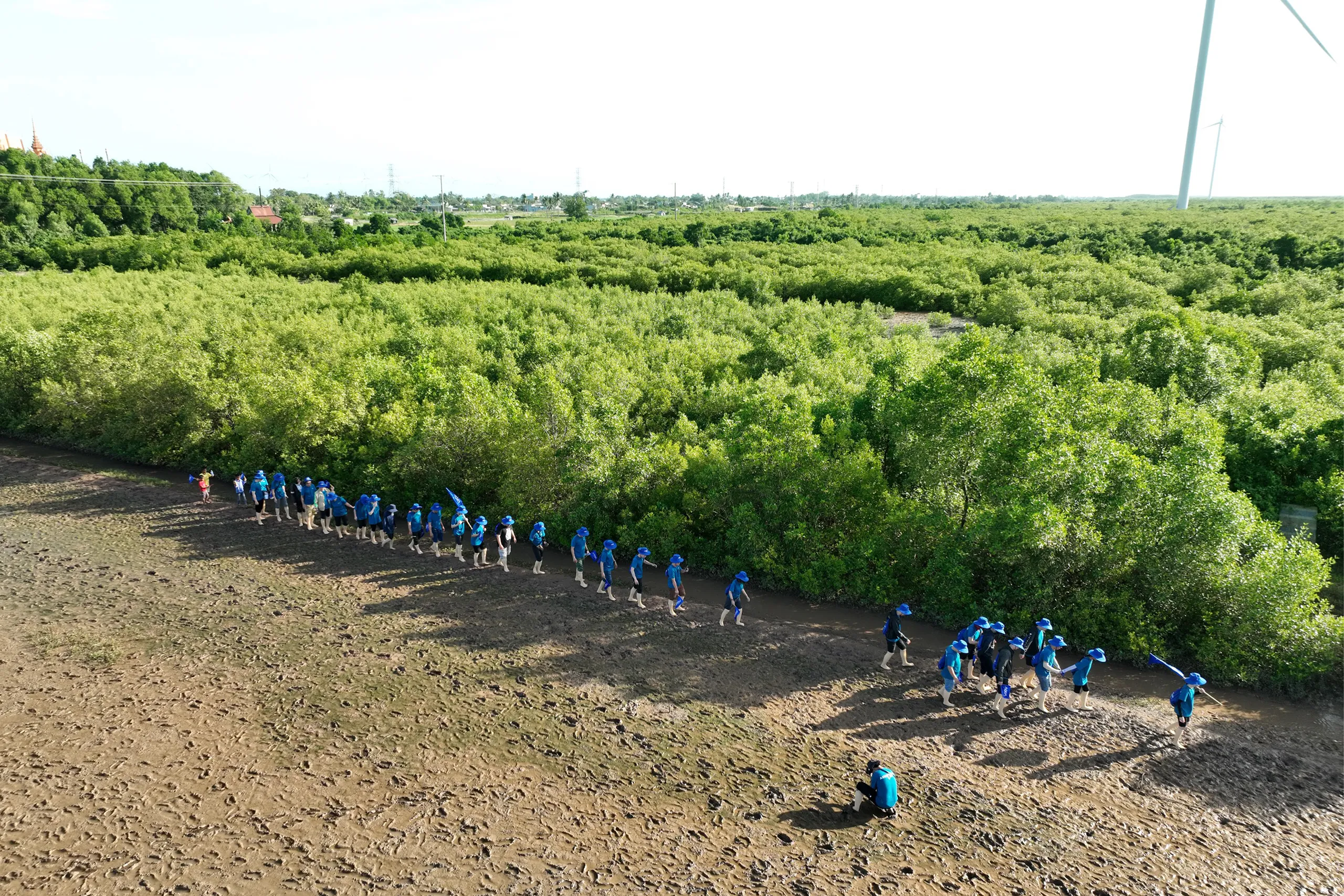 AQUA Việt Nam góp sức trồng rừng ngập mặn tại Sóc Trăng, hướng đến sứ mệnh chăm sóc môi trường bền vững