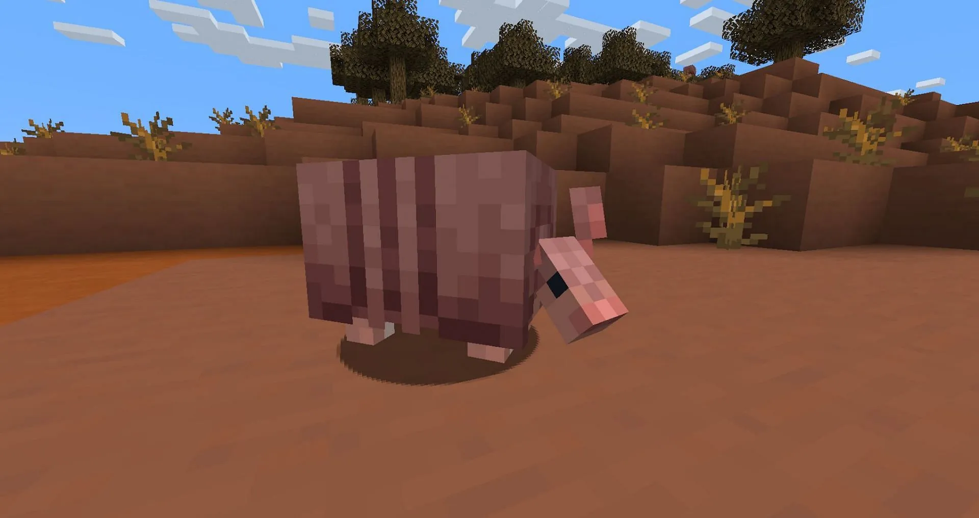 7 mã seed Minecraft có nhiều thú armadillo dành cho bạn
