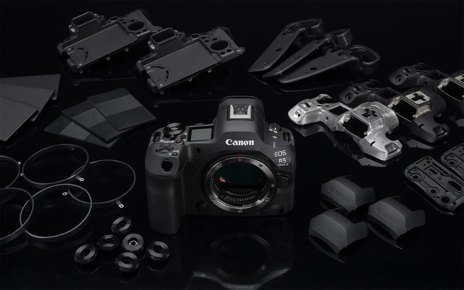 Canon EOS R5 II sẽ là lựa chọn xuất sắc cho nhiếp ảnh động vật hoang dã