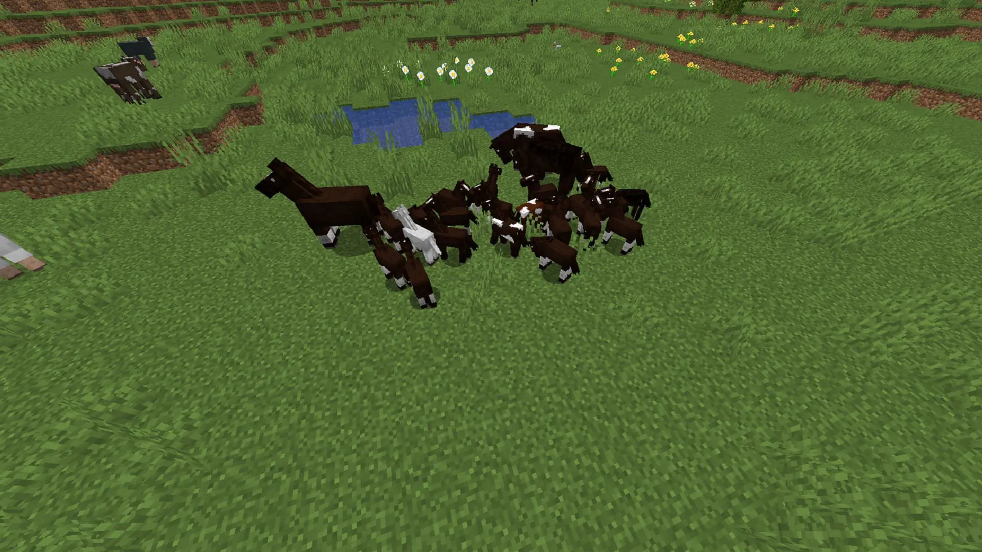 Hướng dẫn cách thuần hoá ngựa trong Minecraft