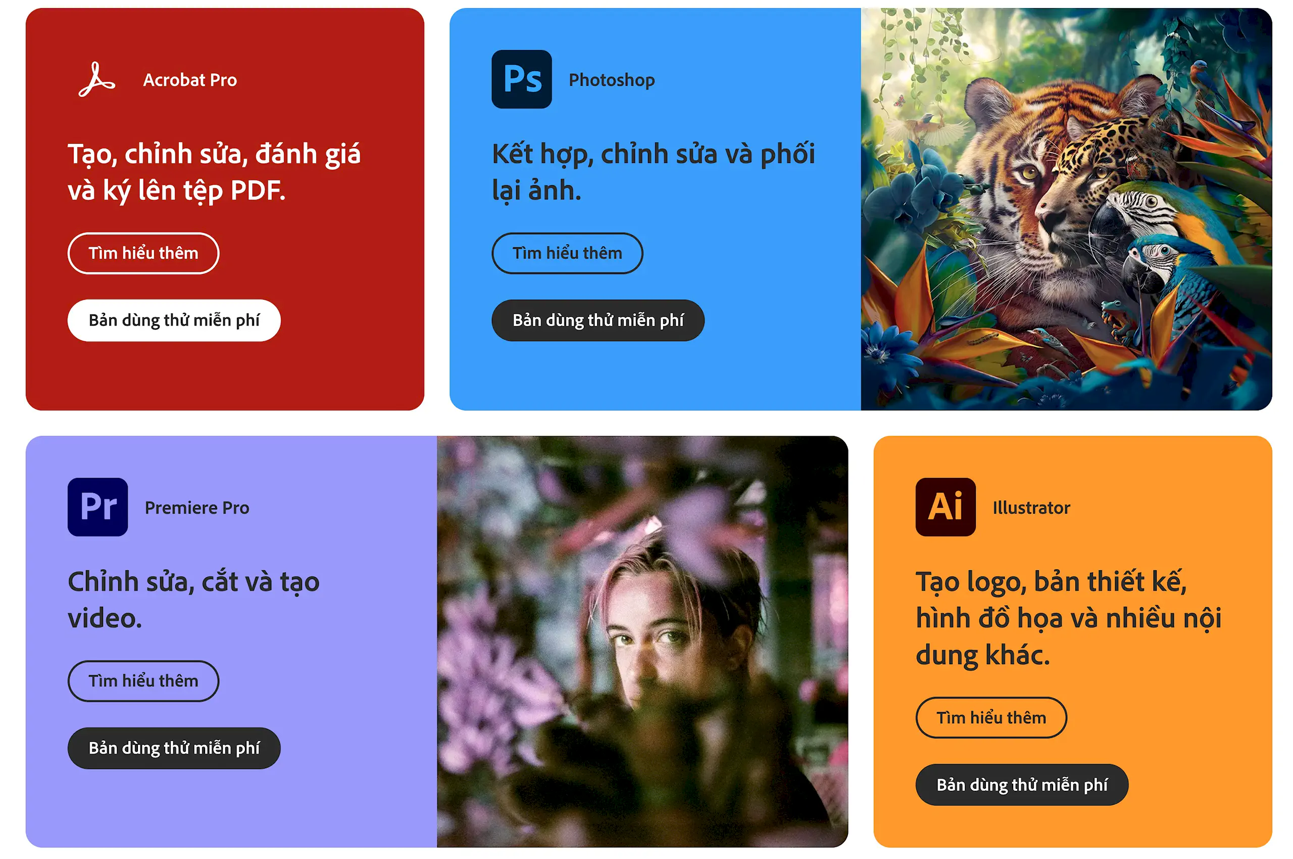 Cách mua gói Adobe bản quyền tại Việt Nam
