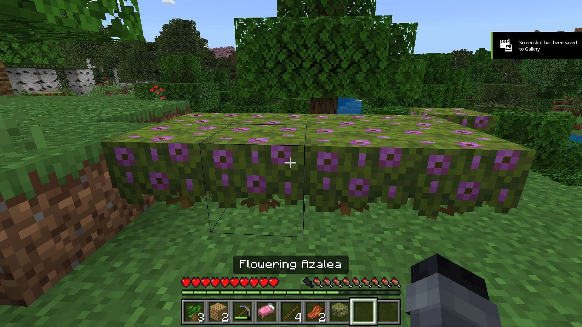 Cách lấy hoa đỗ quyên (flowering azalea) trong Minecraft