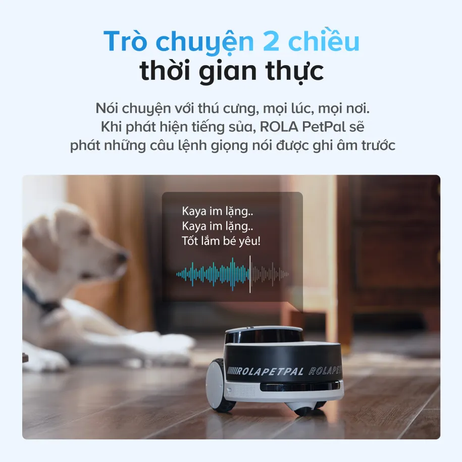 Enabot ra mắt robot camera chăm sóc thú cưng All-in-one ROLA PetPal, tích hợp tiện lợi phụ kiện tương tác, cho ăn và quan sát thú cưng từ xa