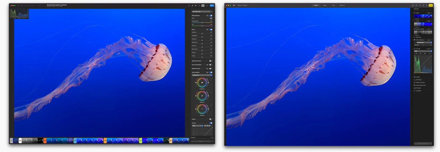 Apple Photos trong tương lai có thể sẽ là phiên bản hoàn thiện của Photomator