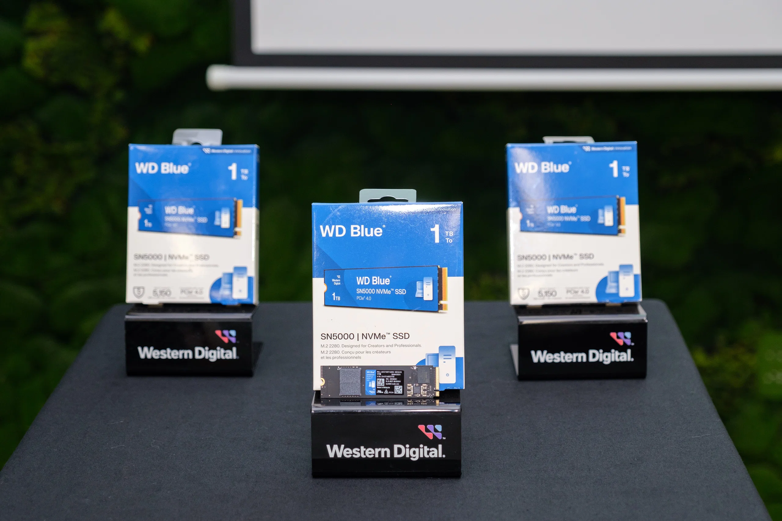 Đánh giá SSD WD Blue SN5000 1TB: Sự lựa chọn đáng giá cho người dùng phổ thông