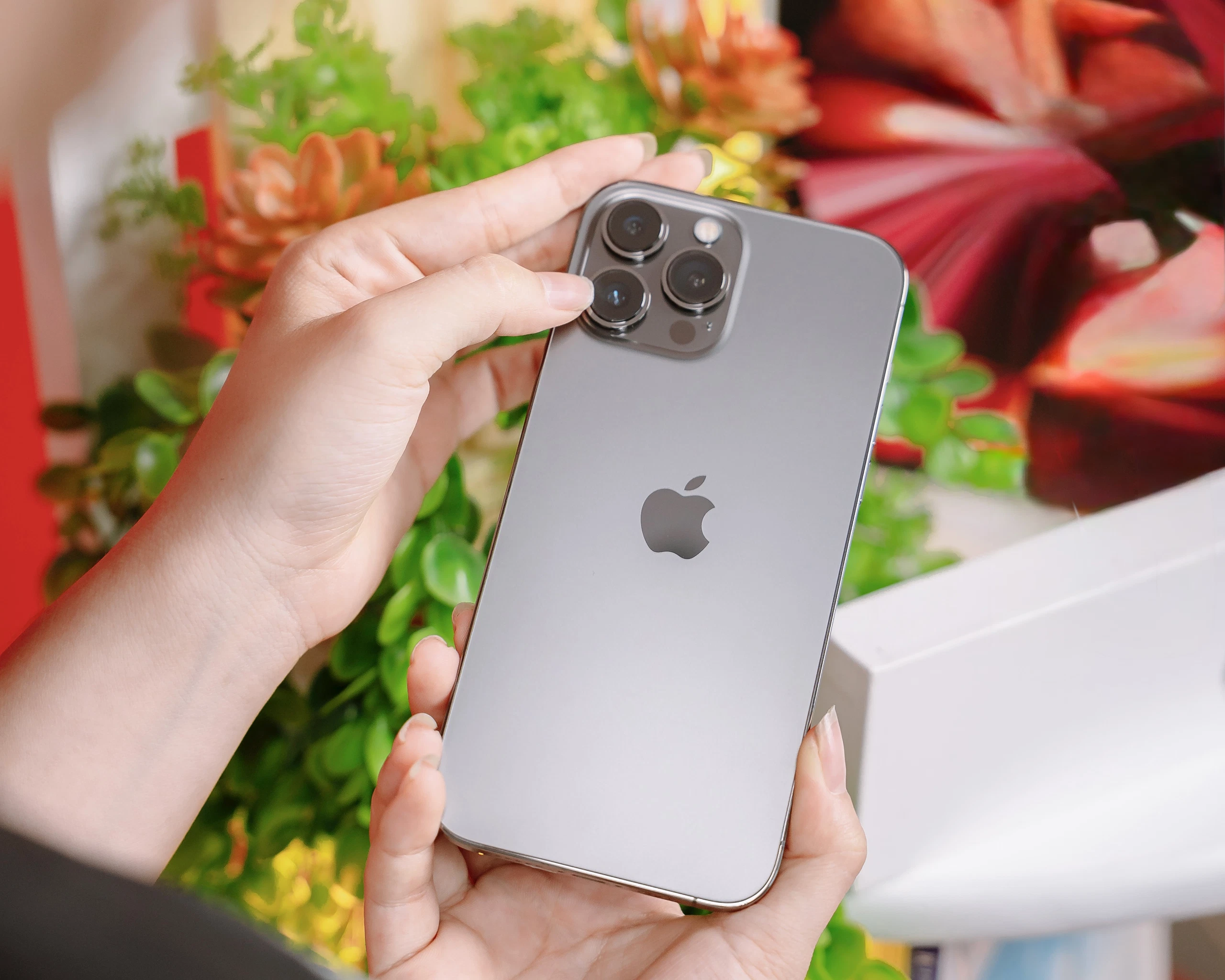 Sắm Tết tiết kiệm với loạt iPhone cũ “ngon - bổ - rẻ”, nhận quà to thêm cơ hội trúng vàng 9999