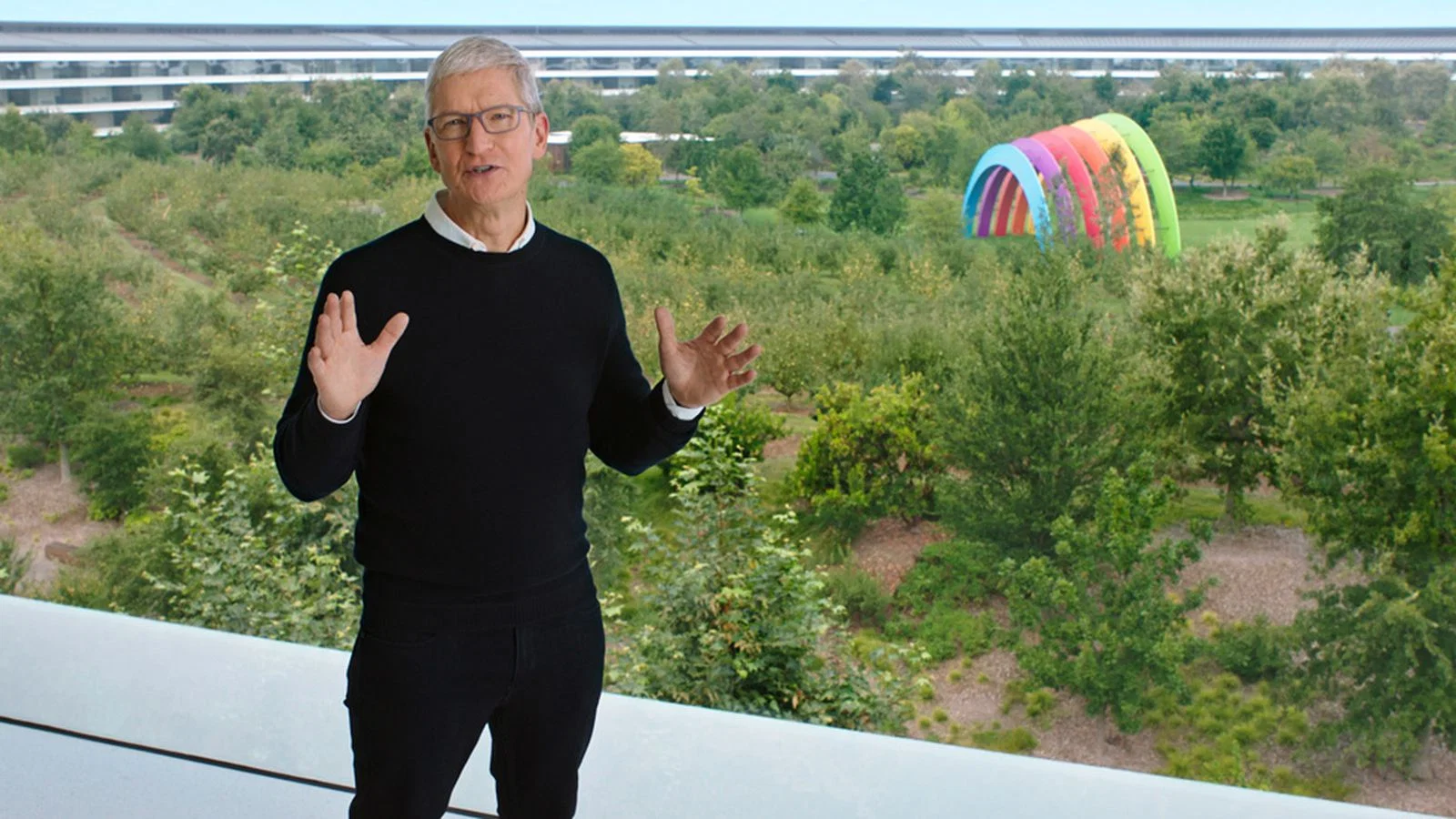 a man standing in front of a window with trees and a rainbow in the background