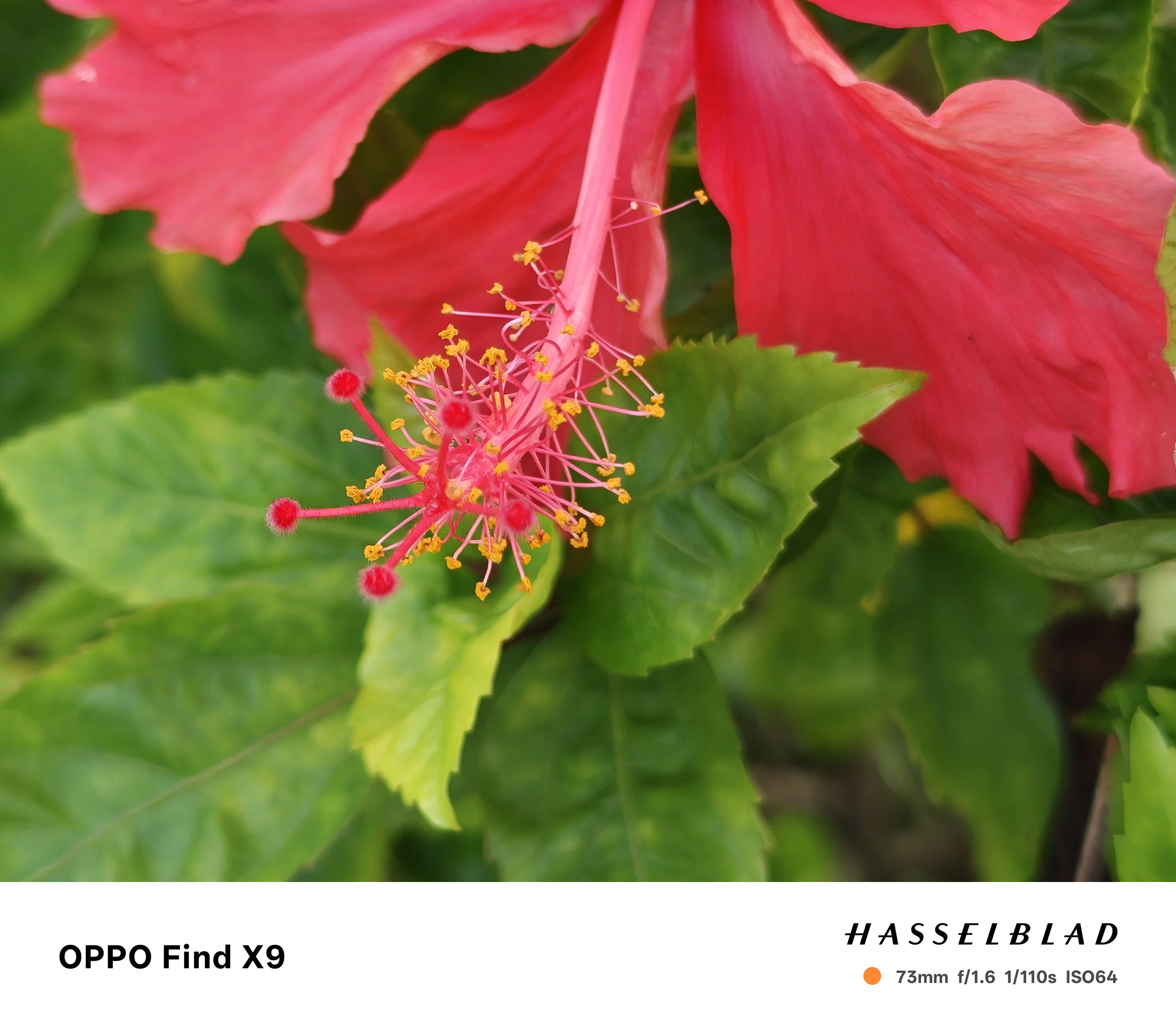 Đánh giá OPPO Find X9: Đẳng cấp flagship 2025 với bộ ba camera 50MP cùng trải nghiệm đỉnh cao