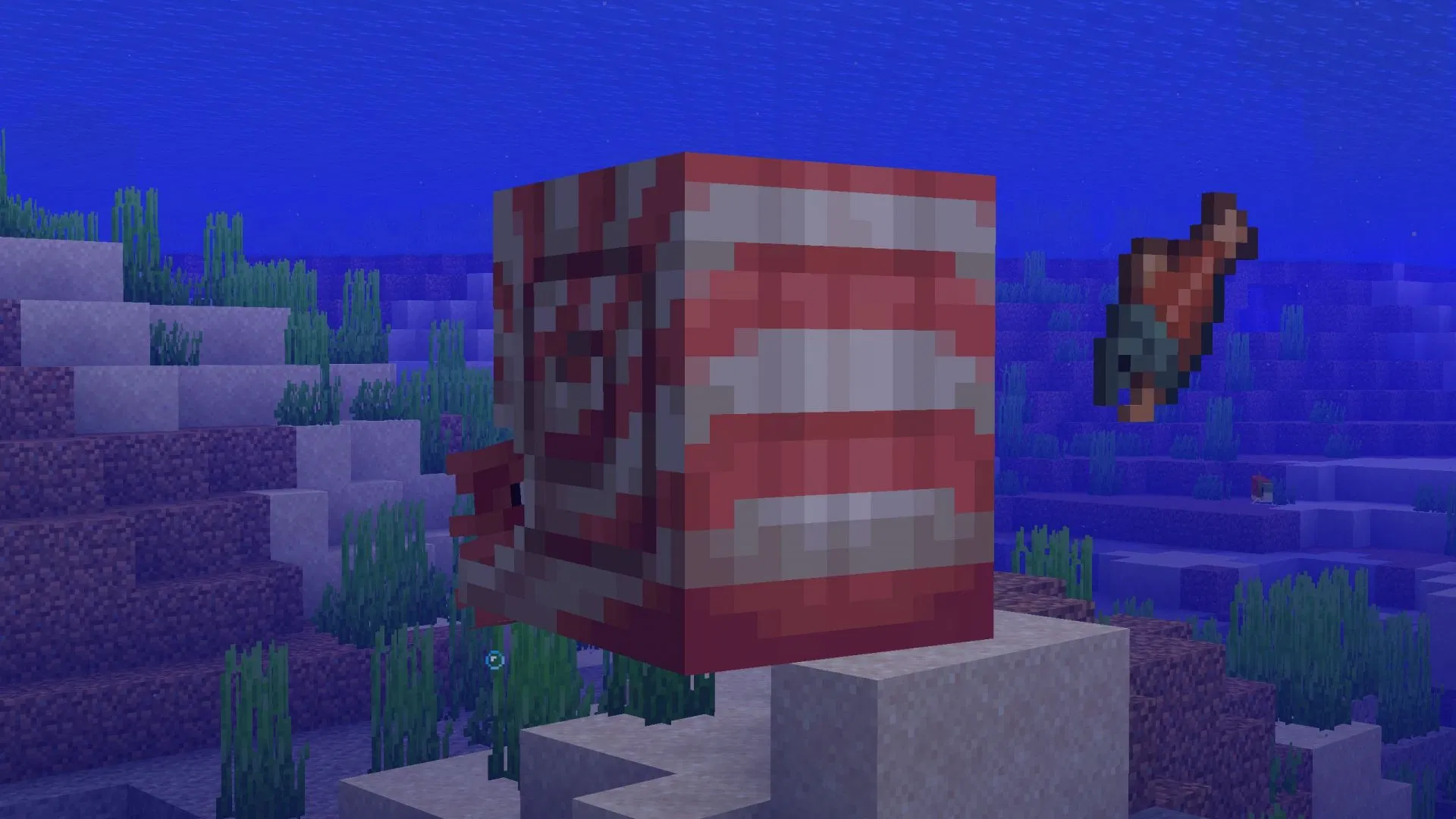 5 sự thật thú vị về Nautilus – mob cưỡi dưới nước hoàn toàn mới trong Minecraft