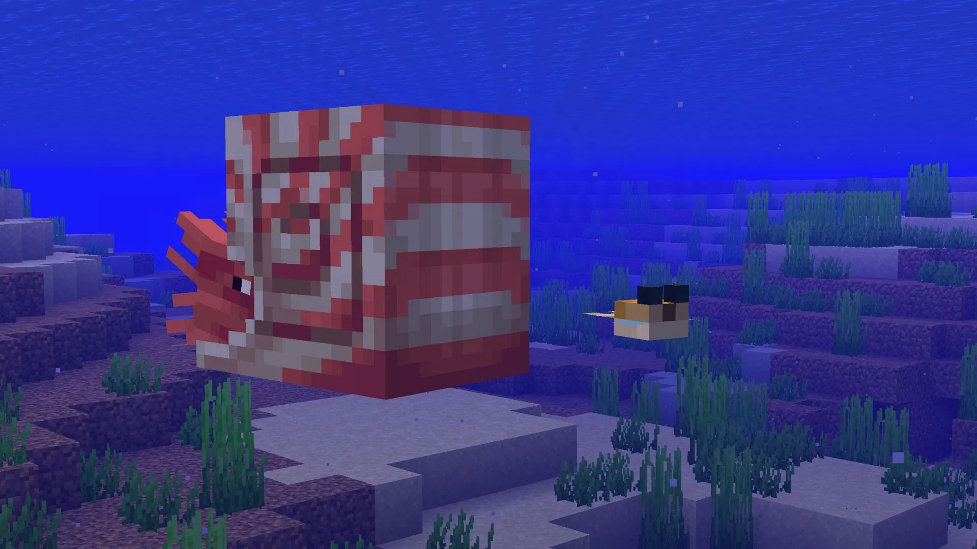 5 sự thật thú vị về Nautilus – mob cưỡi dưới nước hoàn toàn mới trong Minecraft
