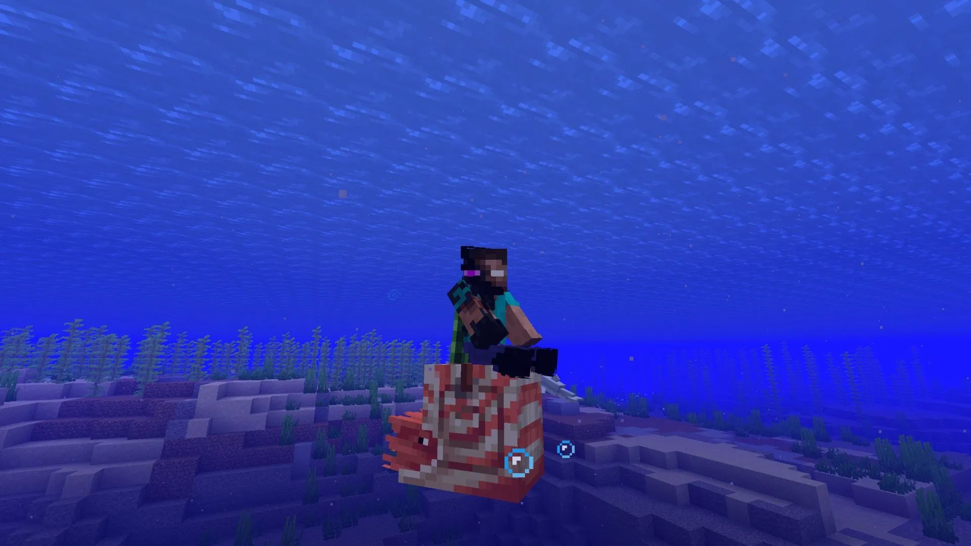 5 sự thật thú vị về Nautilus – mob cưỡi dưới nước hoàn toàn mới trong Minecraft