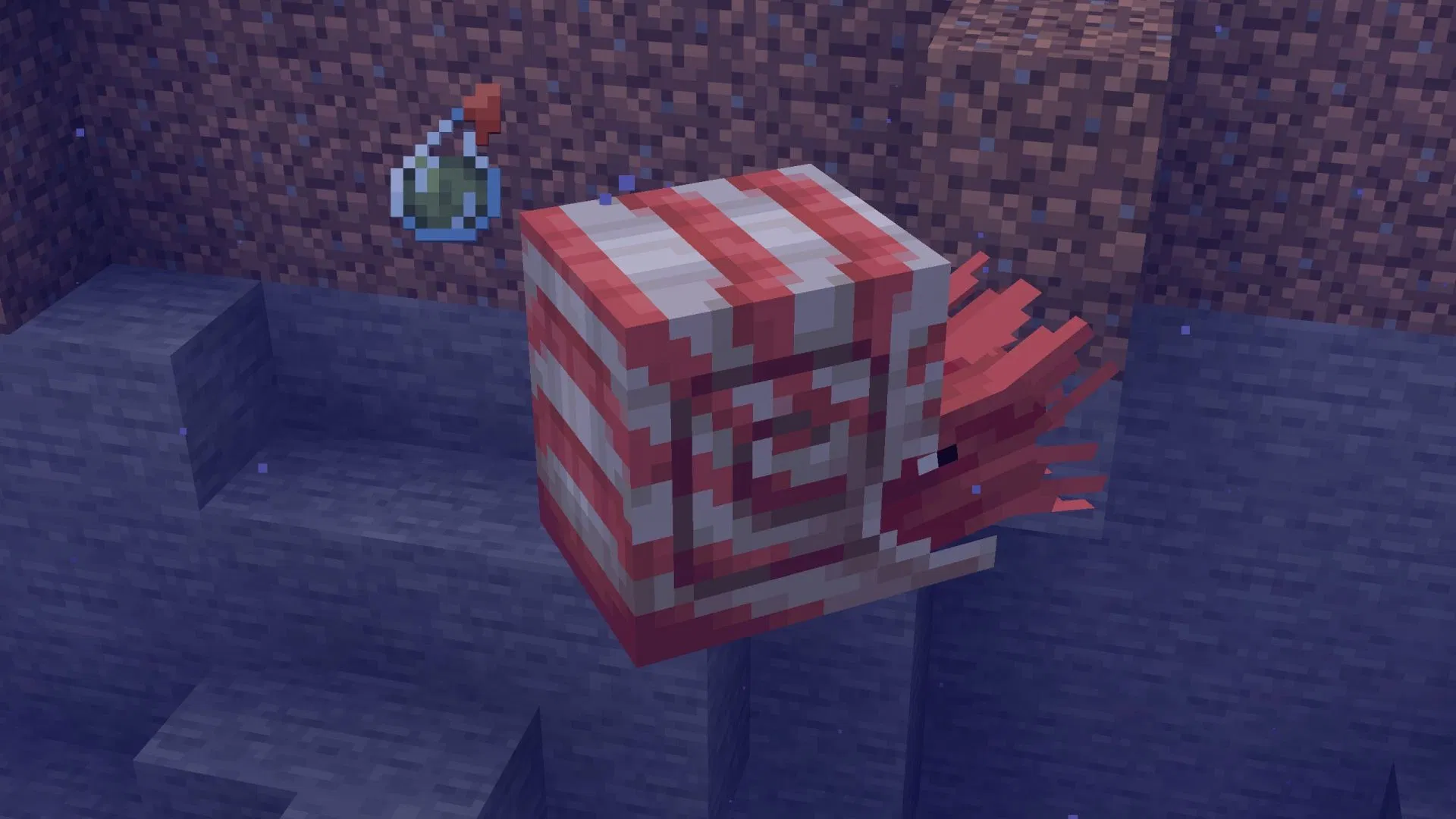 5 sự thật thú vị về Nautilus – mob cưỡi dưới nước hoàn toàn mới trong Minecraft