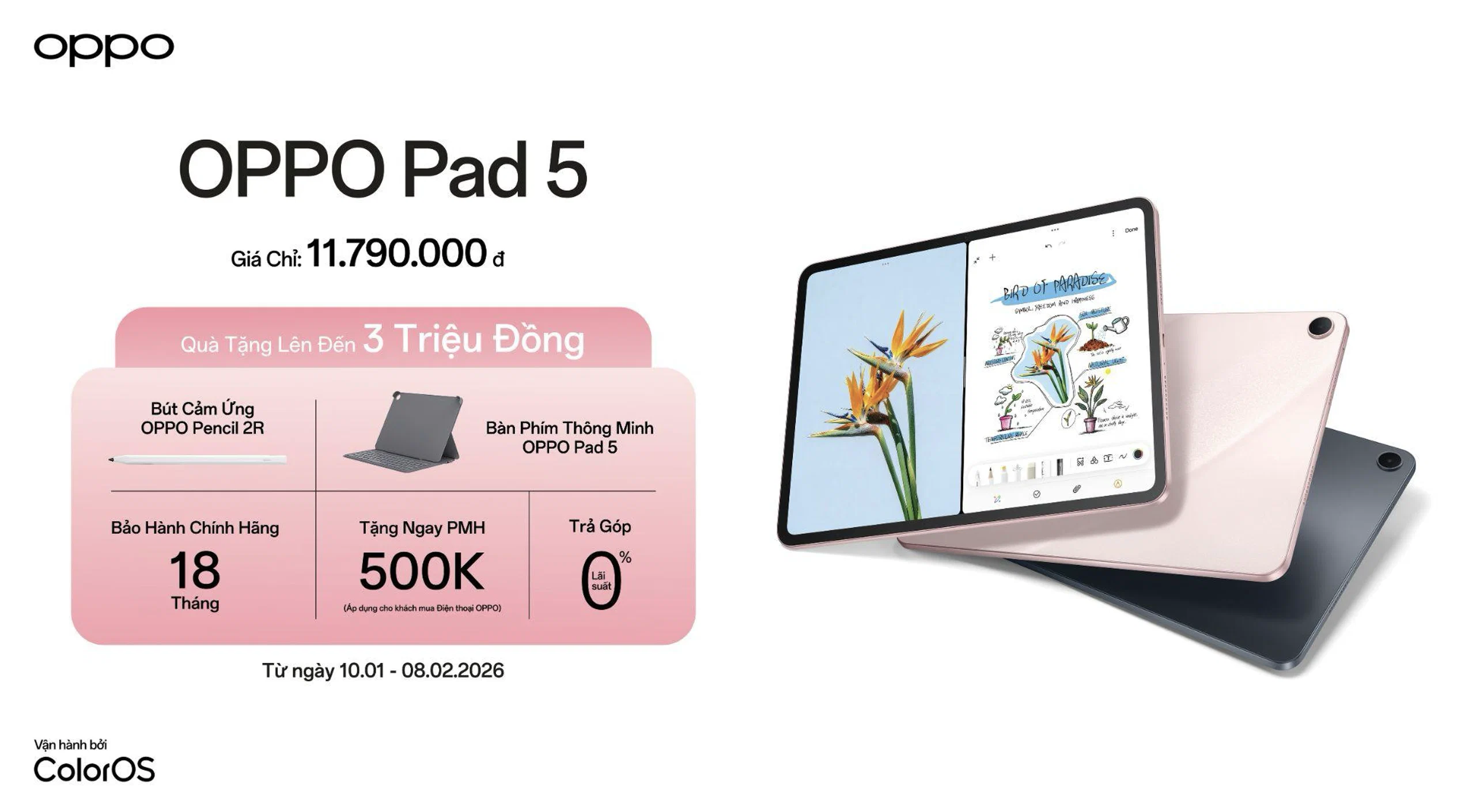 OPPO Pad 5 phiên bản Màn hình nhám ra mắt tại Việt Nam, nâng chuẩn hiển thị và năng suất với AI