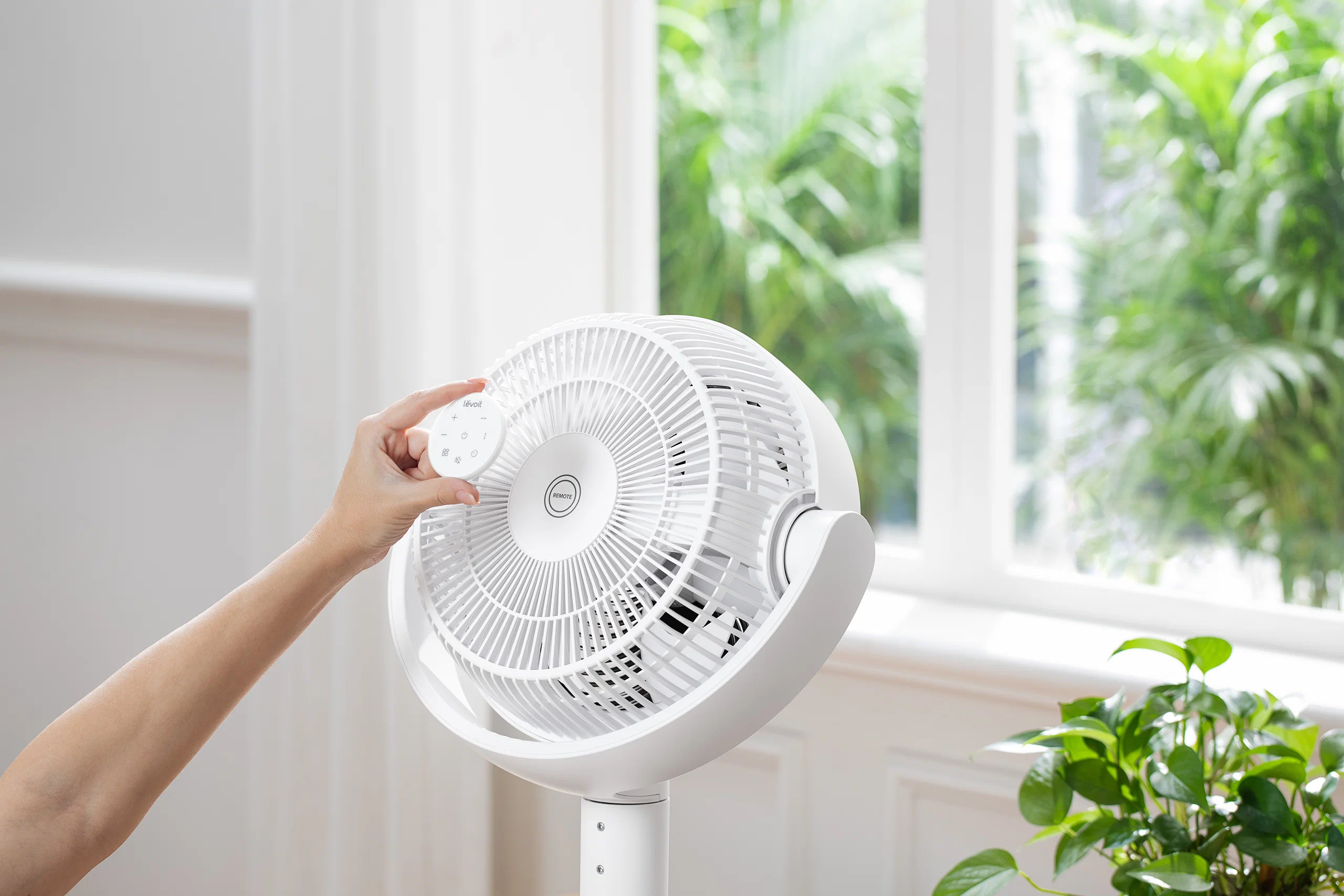 Quạt tuần hoàn Levoit 22.9 cm trình làng: công nghệ Tri-Cyclonic, làm mát toàn phòng