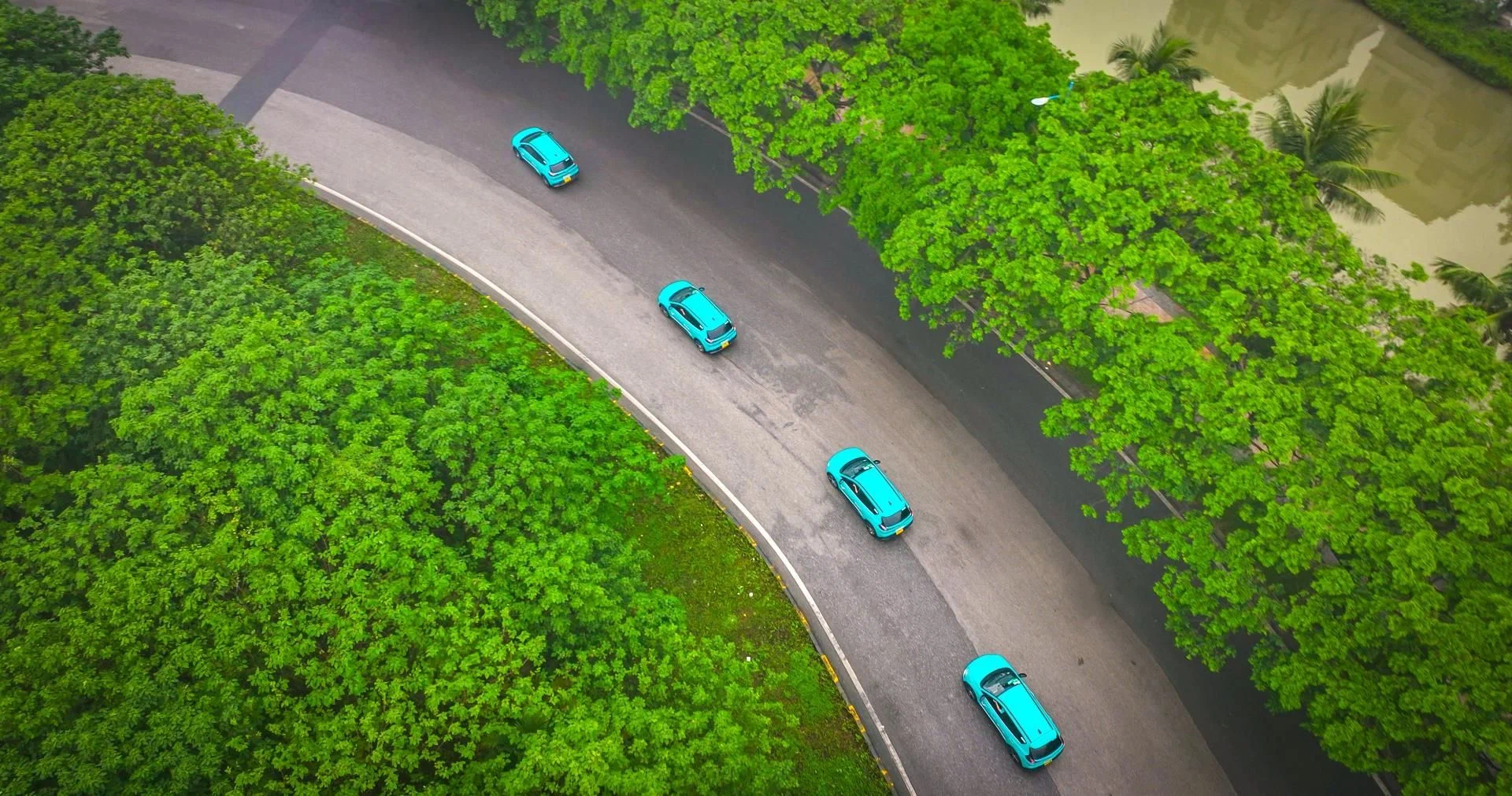 GSM đổi tên Xanh SM thành Green SM, đồng bộ nhận diện tại nhiều quốc gia