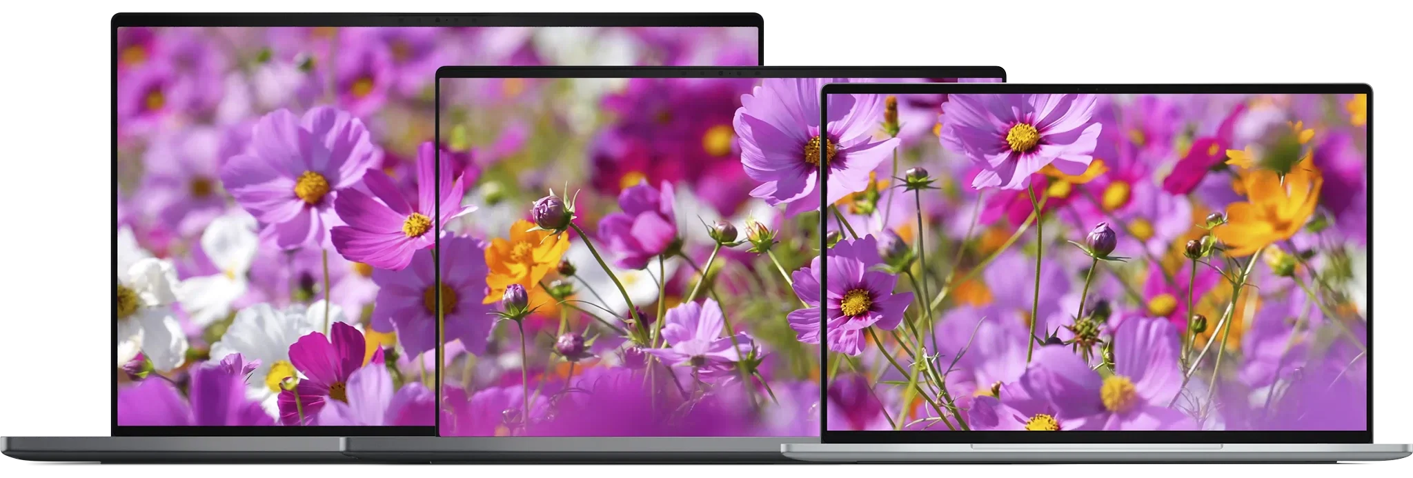Dell ra mắt laptop XPS 13 mới tại COMPUTEX 2026 với thiết kế siêu mỏng nhẹ chỉ 1kg