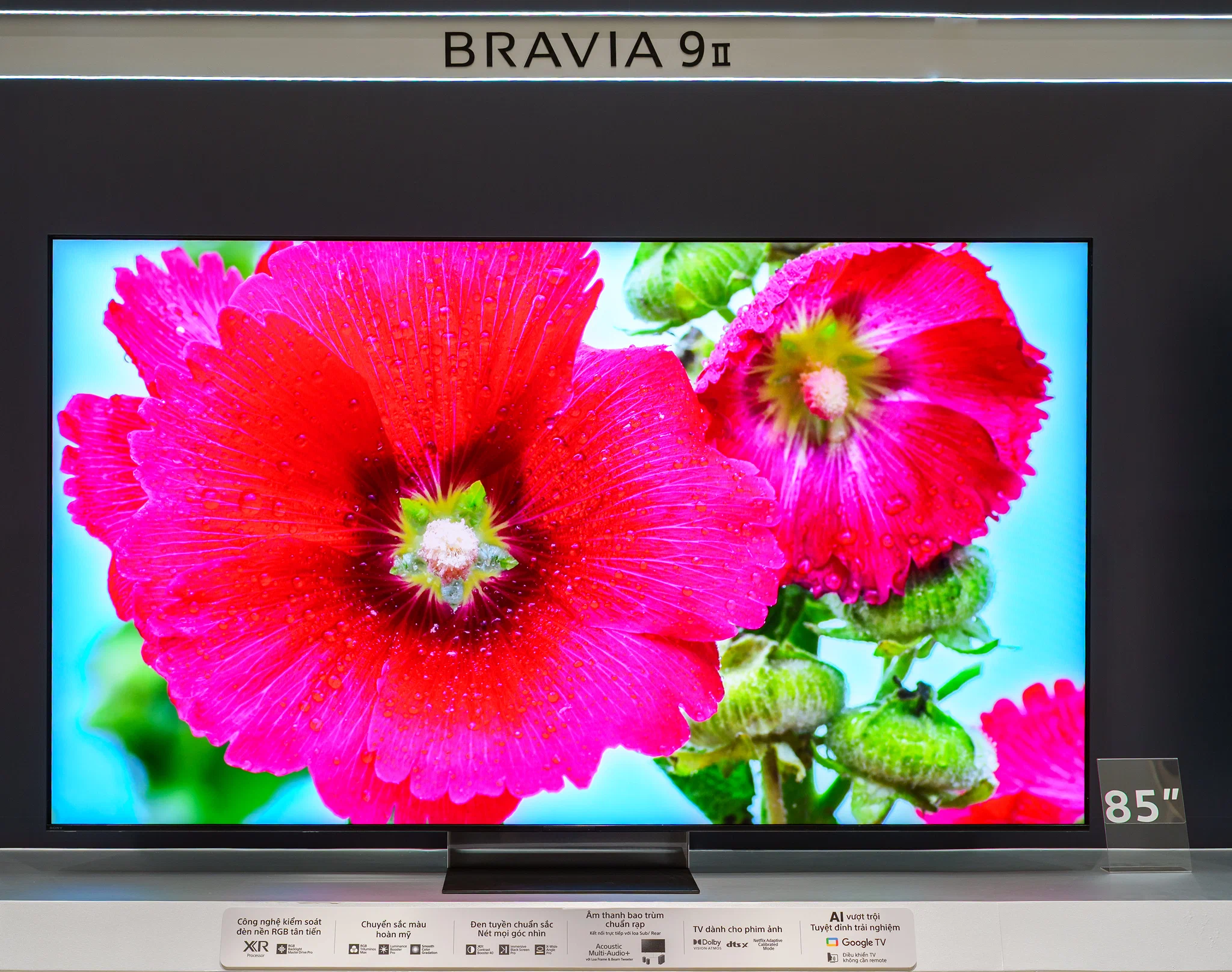 Sony nâng cấp rạp phim tại gia với TV BRAVIA True RGB và BRAVIA Theatre 2026