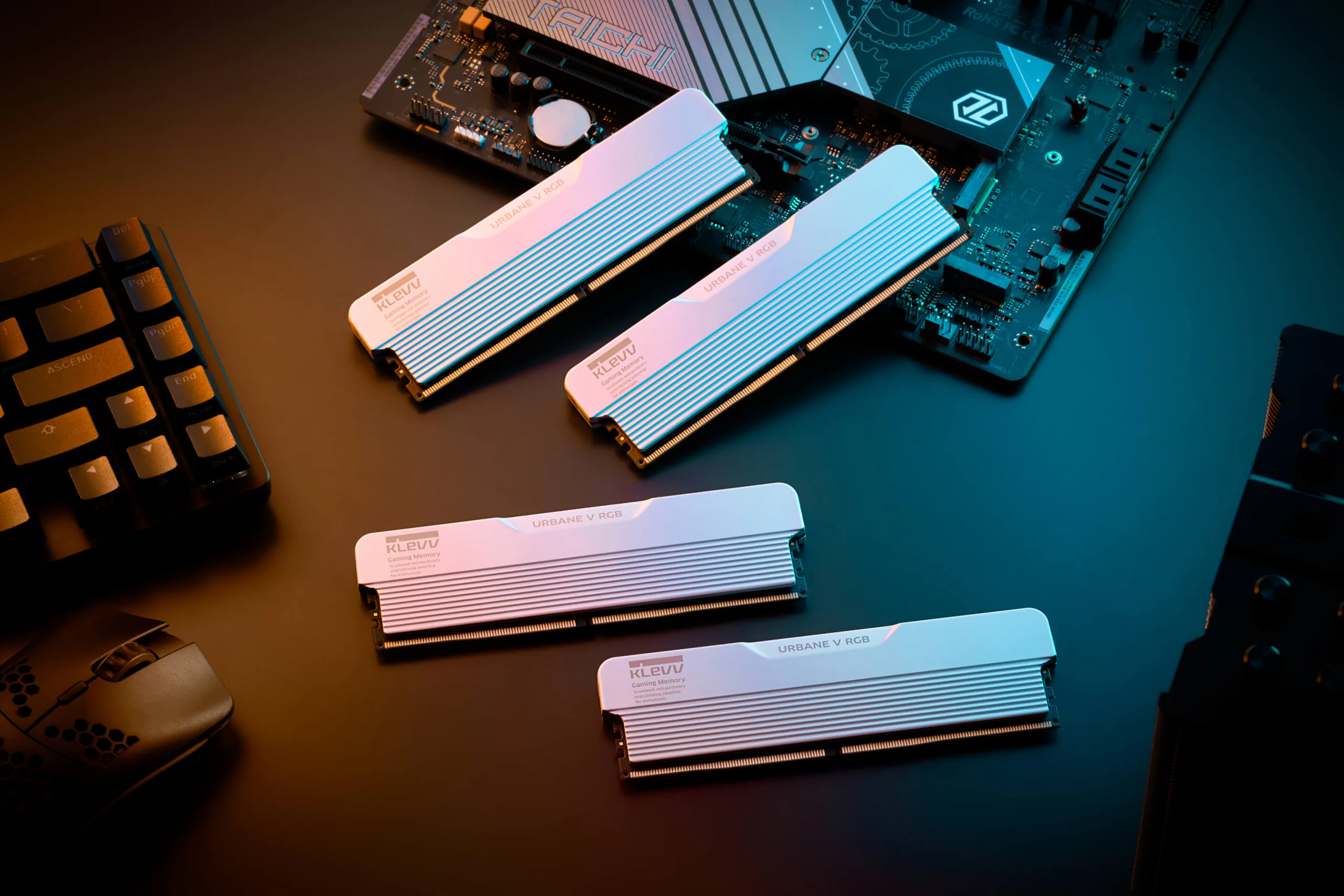 KLEVV mở rộng dòng RAM DDR5 gaming với CRAS V RGB và URBANE V RGB