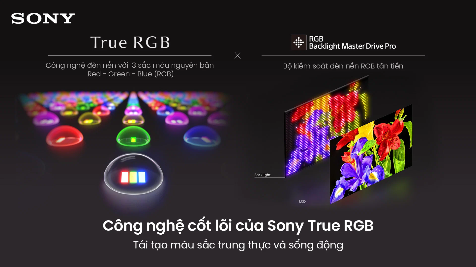 Sony BRAVIA 9 II được vinh danh King of RGB LED TV 2026, Sony lập chuỗi 8 năm lên ngôi