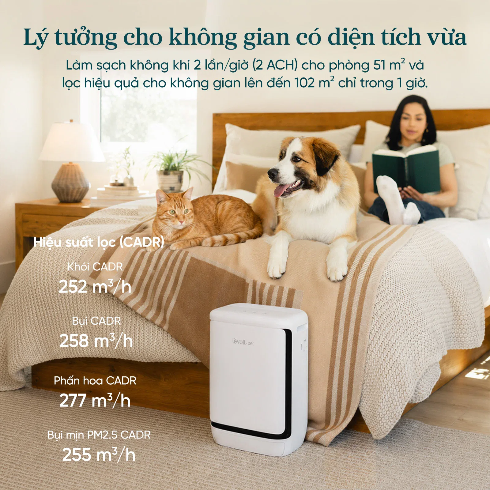 Levoit Eleva 300X 07