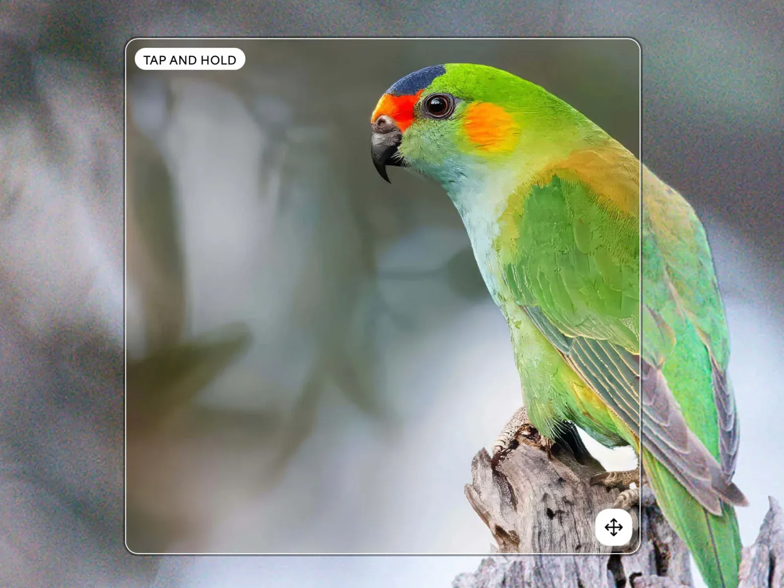 Topaz labs